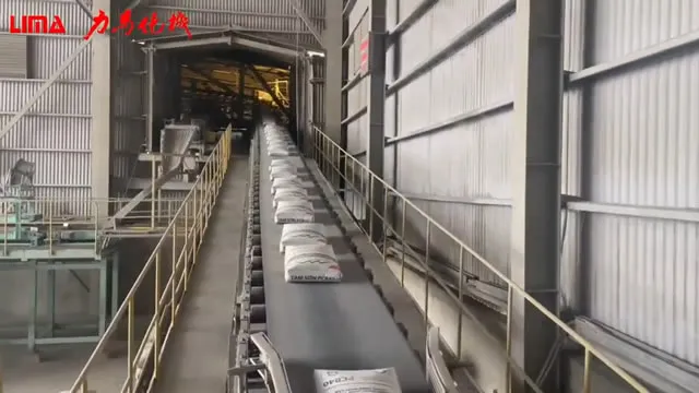 Автоматическая машина для упаковки в мешки и паллетирования для цементной компании из Вьетнама